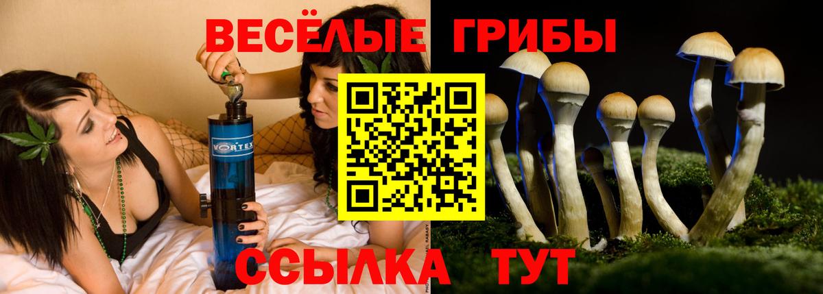 Губкинский  Галлюциногенные грибы MAGIC MUSHROOMS  Галлюциногенные грибы ЛСД  Вход с VPN 
