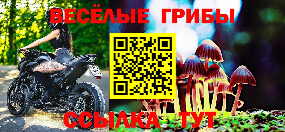 Галлюциногенные грибы MAGIC MUSHROOMS Губкинский
